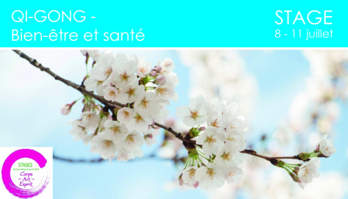 Stages d'été : QI-QONG «BIEN-ÊTRE ET SANTÉ»